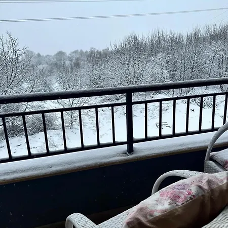 Elegant Living 2 Sofia