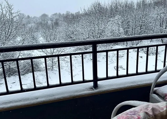 Elegant Living 2 ソフィア